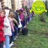 Festa_Albero_2